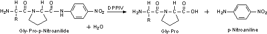 Enzymatic Assay