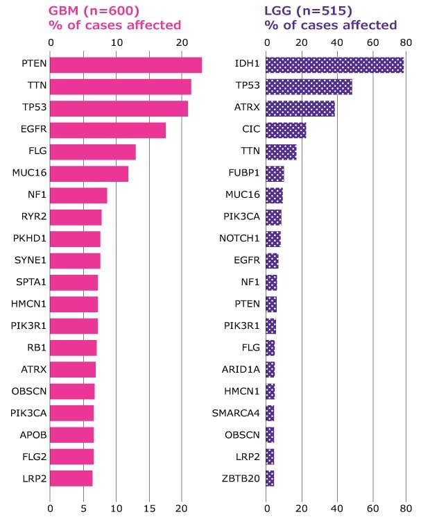 Graph showing the distribution of most frequently mutated genes in high-grade gliomas (GBM) and low-grade gliomas (LGG) expressed as % of total cases. Genes PTEN and LRP2 had the highest and lowest % of cases respectively for GBM while genes IDH1 and ZBTB20 had the highest and lowest % of cases respectively for LGG.