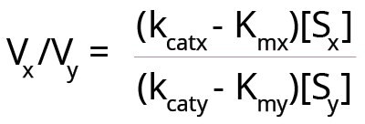 The equation for the relative velocities of reactions with 2 substrates. Vx divided by Vy equal k subscript cat x minus Kmx times the concentration of Sx divided by k subscript cat y minus Kmy times the concentration of Sy 