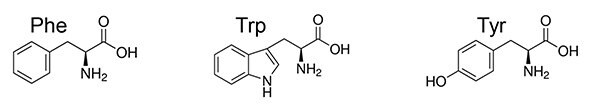 Dimethylated