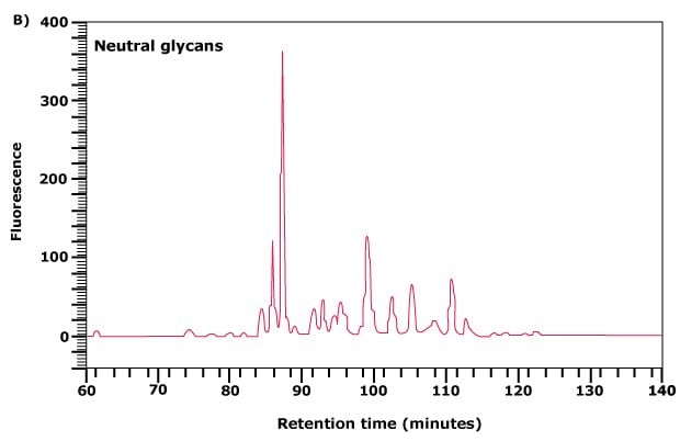 Separation of neutral and acidic glycans of fetuin by weak anion-exchange chromatography