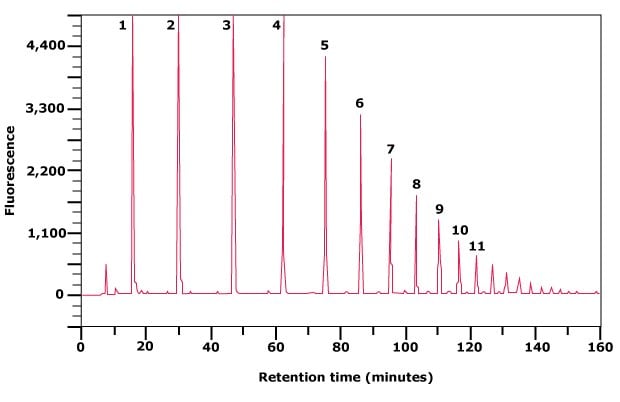 Separation of partially hydrolyzed 2‑AB labeled Dextran Ladder by normal phase HPLC