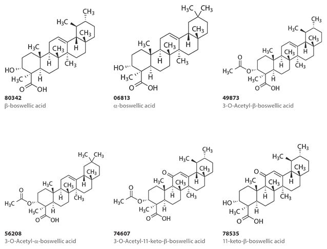 Chemical Structure of Boswellic Acids