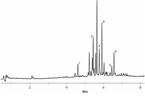 Boswellia Extract