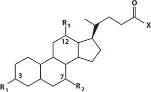 Structural Overview of Bile Acids and Conjugated Salts