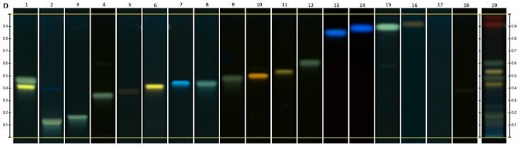 Chromatograms under UV