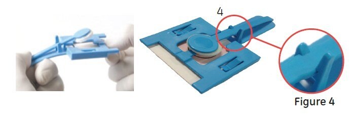 easicollect transfer