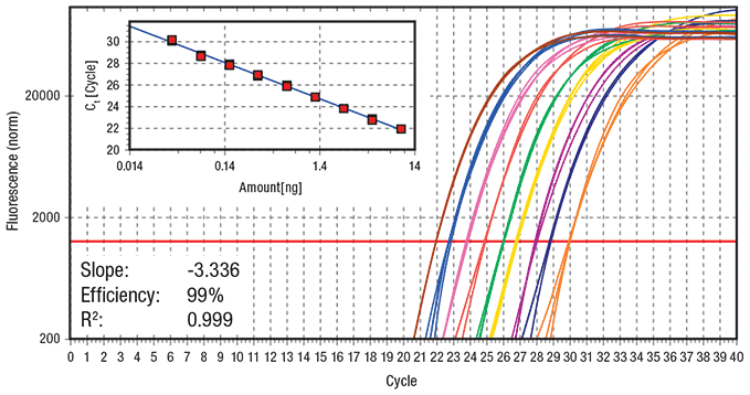 fast cycling protocol