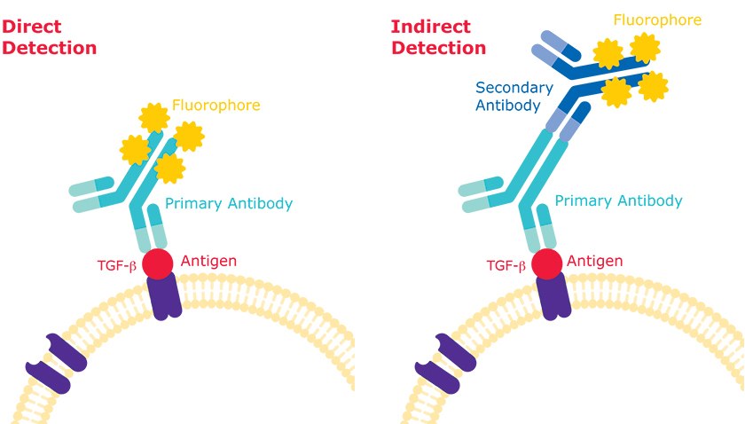 flow cytometry diagram