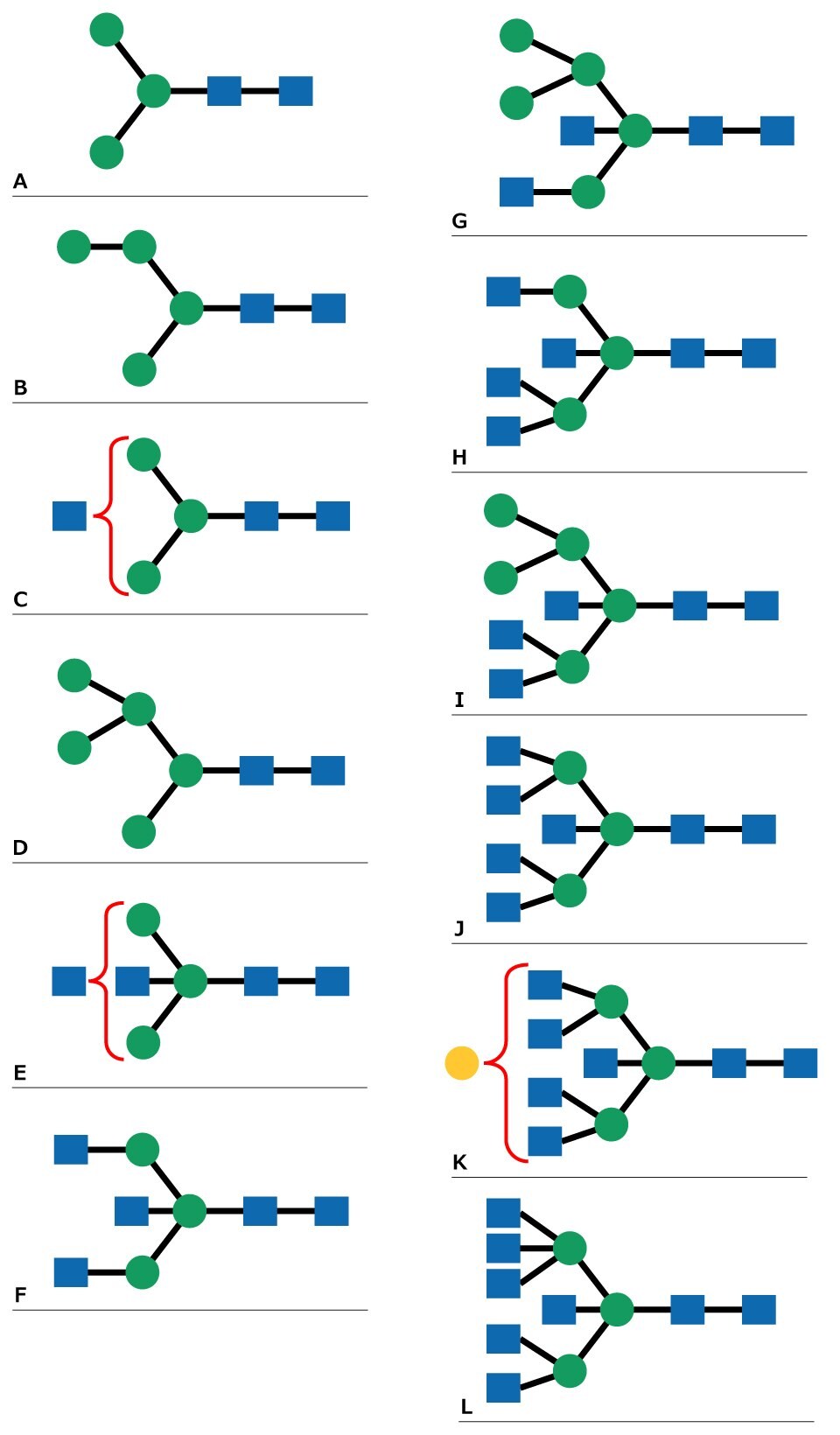 A series of N-Linked glycan structures associated with labels A through L, each showing a structure composed of green circles and blue squares connected by black lines. Some structures include red curves or yellow circles to highlight specific parts.