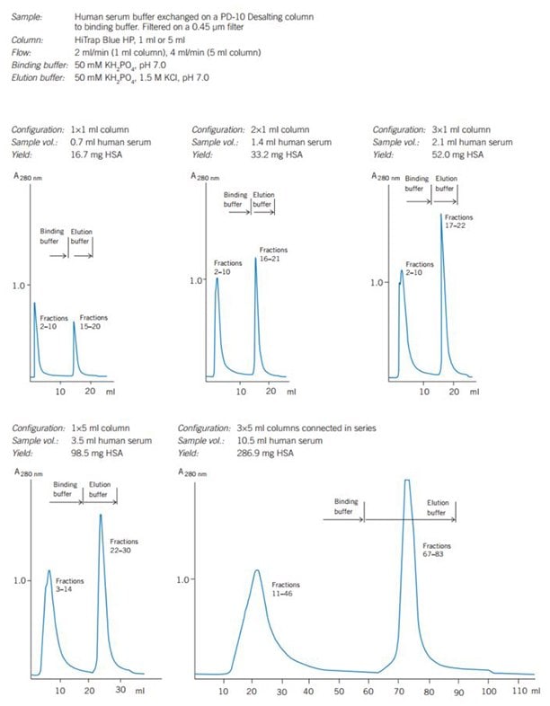 Scaling up on HiTrap® Blue HP gives predictable separations and quantitatively reproducible yields.