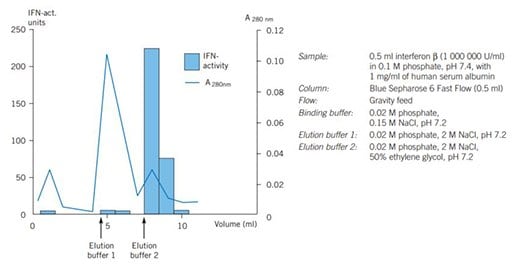 Purifcation of human serum albumin and interferon β on Blue Sepharose 6 Fast Flow.