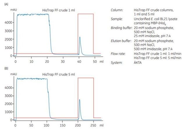 Chromatography scale up from 1 mL to 5 mL HisTrap™ FF crude columns.