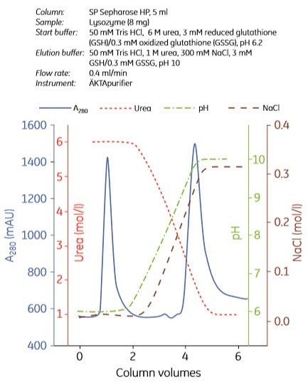 Refolding of lysozyme using cation exchange chromatography