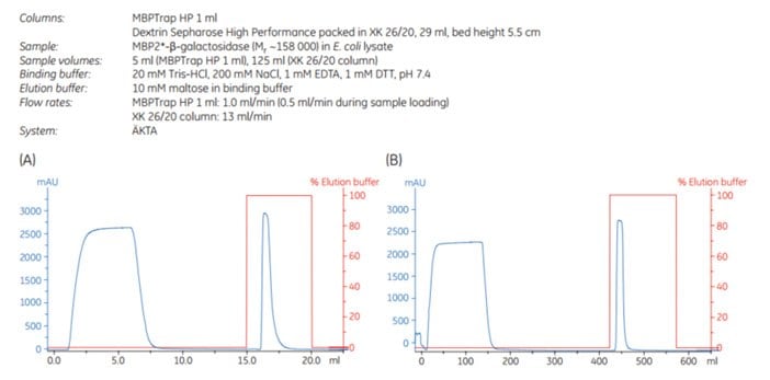 Scale-up of MBP2