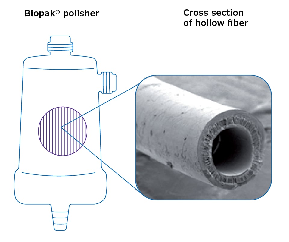 SEM cross section of ultrafiltration polysulfone hollow fiber in Biopak polisher