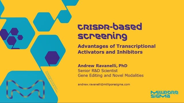 CRISPR-based Screening