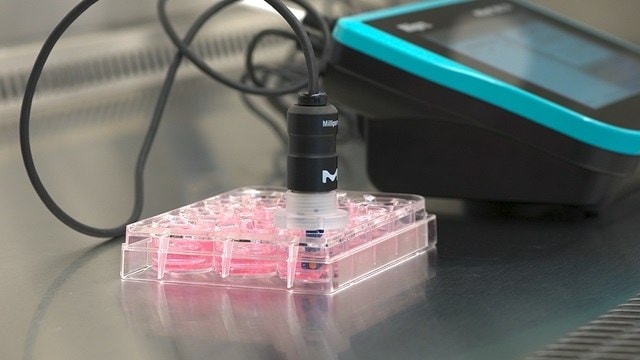 Millicell<sup>®</sup> ERS 3.0 – How-to-use Video Series – Chapter 3: Resistance Measurement Workflow