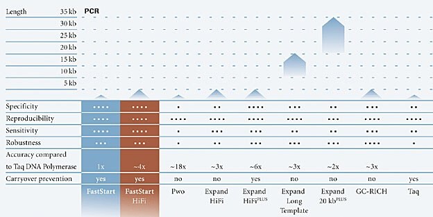 Pcr実験のヒントとトラブルシューティング