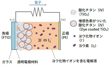 実用化可能性のある有機系太陽電池として現在も研究が進められている色素増感太陽電池の構造。