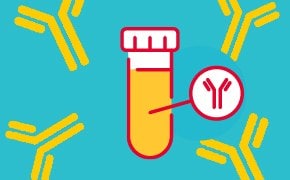 Graphic illustration includes a test tube with an orange substance and a red lid, surrounded by yellow antibody symbols. One antibody symbol is enlarged within a magnifying circle, suggesting analysis of antibodies.