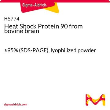 Heat Shock Protein 90 from bovine brain &#8805;95% (SDS-PAGE), lyophilized powder