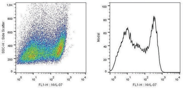 Monoclonal Anti-SCIMP antibody produced in mouse clone NVL-07