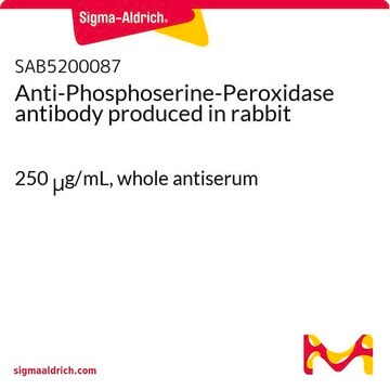 Anti-Phosphoserine-Peroxidase antibody produced in rabbit 250&#160;&#956;g/mL, whole antiserum