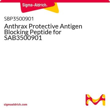 Anthrax Protective Antigen Blocking Peptide for SAB3500901