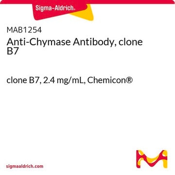 Anti-Chymase Antibody, clone B7 clone B7, 2.4&#160;mg/mL, Chemicon&#174;