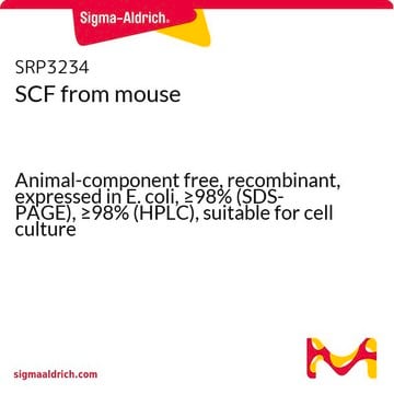 SCF from mouse Animal-component free, recombinant, expressed in E. coli, &#8805;98% (SDS-PAGE), &#8805;98% (HPLC), suitable for cell culture