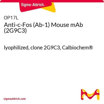 Anti-c-Fos (Ab-1) Mouse mAb (2G9C3) lyophilized, clone 2G9C3, Calbiochem&#174;