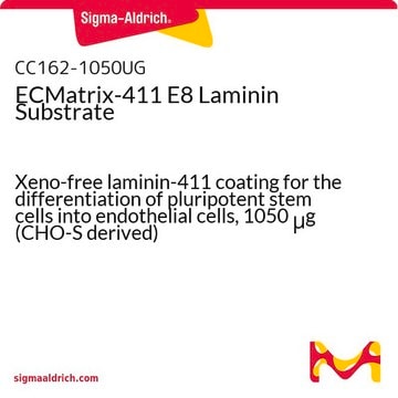 ECMatrix-411 E8 Laminin Substrate Xeno-free laminin-411 coating for the differentiation of pluripotent stem cells into endothelial cells, 1050 &#956;g (CHO-S derived)