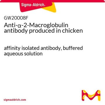 Anti-&#945;-2-Macroglobulin antibody produced in chicken affinity isolated antibody, buffered aqueous solution