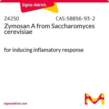 Zymosan&nbsp;A aus Saccharomyces cerevisiae for inducing inflamatory response