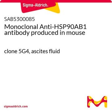 Monoclonal Anti-HSP90AB1 antibody produced in mouse clone 5G4, ascites fluid