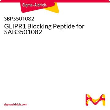 GLIPR1 Blocking Peptide for SAB3501082