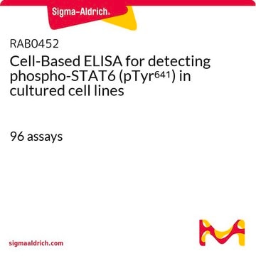 Cell-Based ELISA for detecting phospho-STAT6 (pTyr641) in cultured cell lines 96&#160;assays