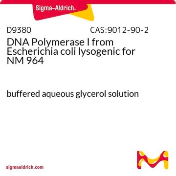 DNA Polymerase I from Escherichia coli lysogenic for NM 964 buffered aqueous glycerol solution