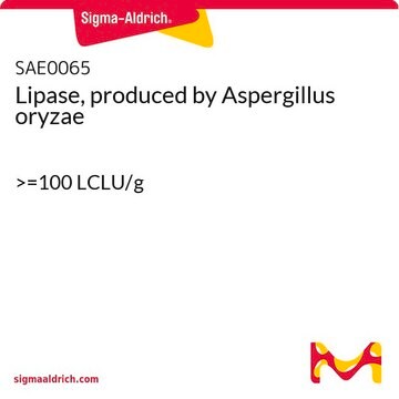 脂肪酶，来自于米曲霉（Aspergillus oryzae） &gt;=100 LCLU/g