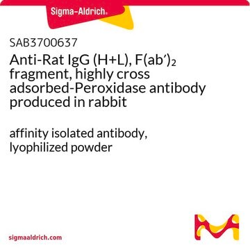 Anti-Rat IgG (H+L), F(ab&#8242;)2 fragment, highly cross adsorbed-Peroxidase antibody produced in rabbit affinity isolated antibody, lyophilized powder