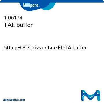 TAE buffer 50 x pH 8,3 tris-acetate EDTA buffer