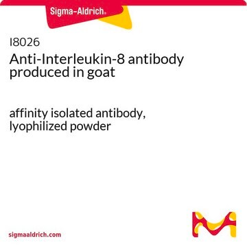 Anti-Interleukin-8 antibody produced in goat affinity isolated antibody, lyophilized powder