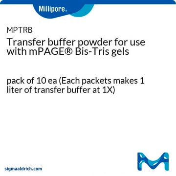 Transfira o tampão em pó para uso com géis mPAGE&#174; Bis-Tris pack of 10&#160;ea (Each packets makes 1 liter of transfer buffer at 1X)