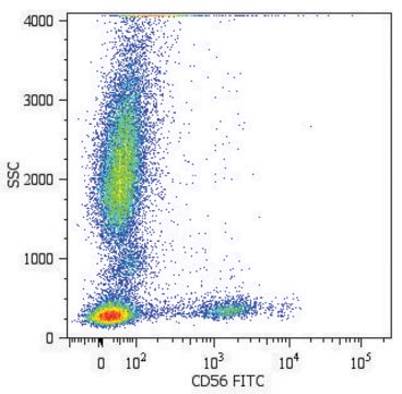 Monoclonal Anti-CD56-FITC antibody produced in mouse clone MEM-188, purified immunoglobulin, buffered aqueous solution