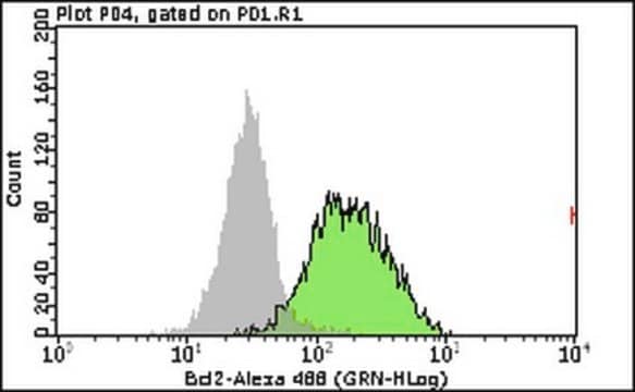 Milli-Mark&#174; Anti-Bcl-2 Antibody, Alexa Fluor&#8482;488, clone AW604 clone AW604, Milli-Mark&#174;, from mouse