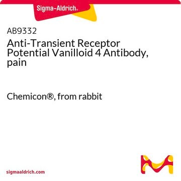 Anti-Transient Receptor Potential Vanilloid 4 Antibody, pain Chemicon&#174;, from rabbit