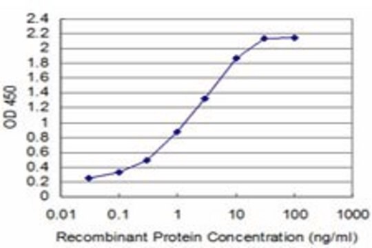 ANTI-TCL1A antibody produced in mouse clone 2F7, purified immunoglobulin, buffered aqueous solution