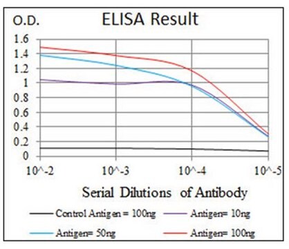 Anti-SRY, clone 1G4 Antibody clone 1G4, from mouse