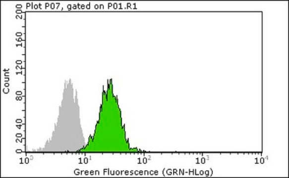 Anti-HU-B27 Antibody, FITC conjugated Chemicon&#174;, from mouse